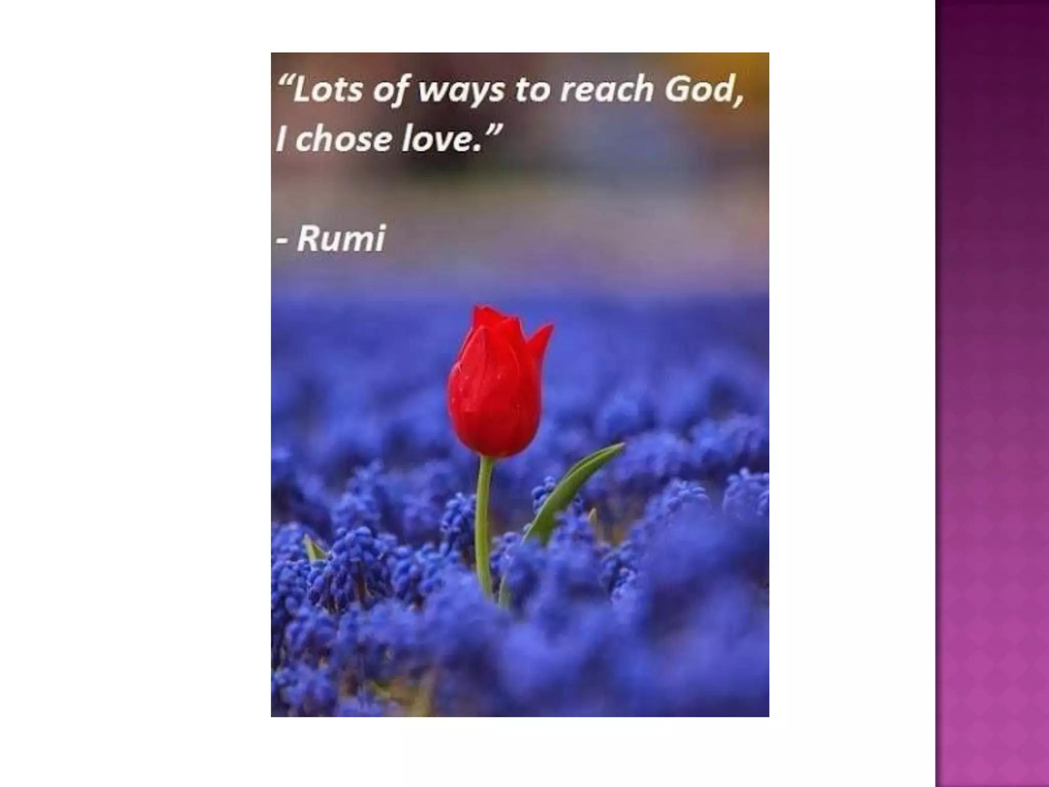Almost everything i need to know about love I learned from Rumi