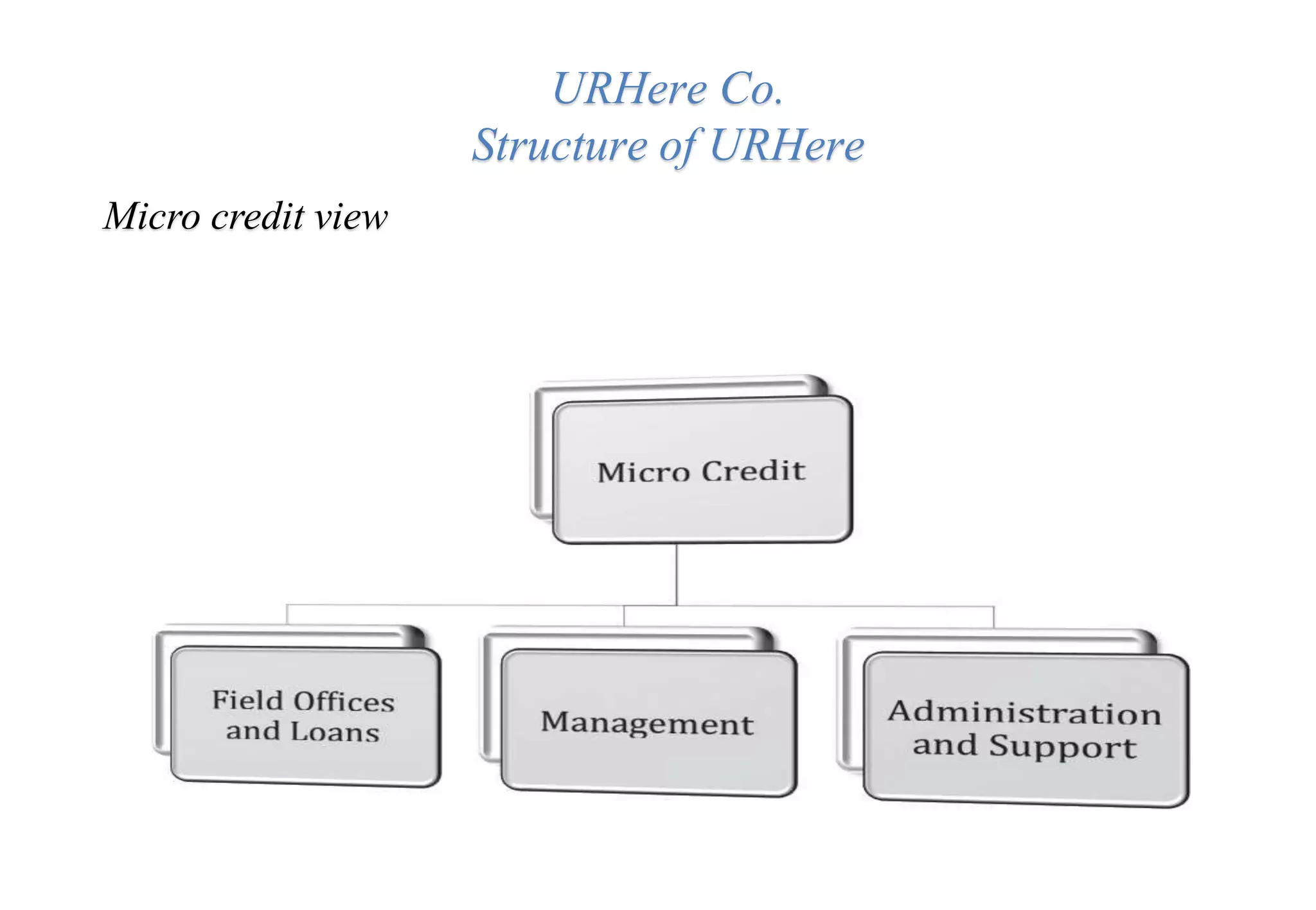 URHere Co.
Structure of URHere
Micro credit view
 