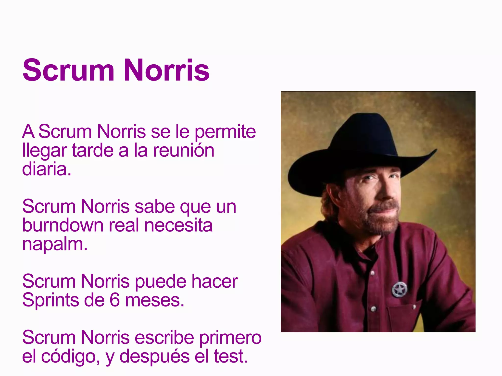 Scrum Norris
A Scrum Norris se le permite
llegar tarde a la reunión
diaria.
Scrum Norris sabe que un
burndown real necesita
napalm.
Scrum Norris puede hacer
Sprints de 6 meses.
Scrum Norris escribe primero
el código, y después el test.
 