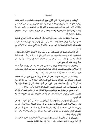 Almstlh alnhwy-nshath 2