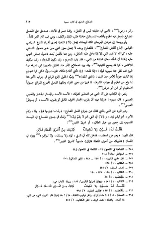 Almstlh alnhwy-nshath 2