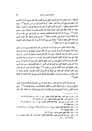 Almstlh alnhwy-nshath 2