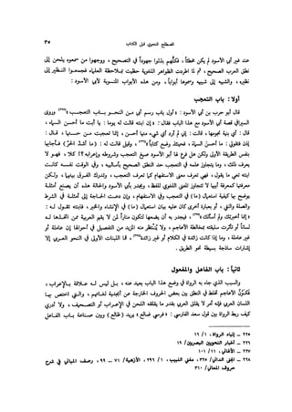 Almstlh alnhwy-nshath 2