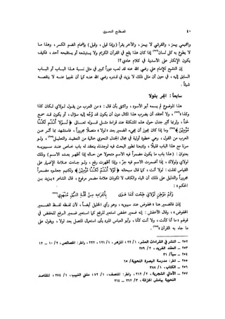 Almstlh alnhwy-nshath 2