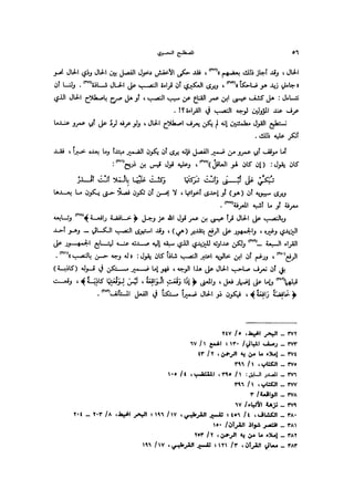 Almstlh alnhwy-nshath 2