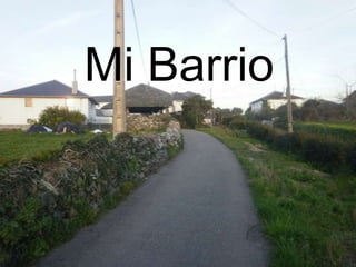 Mi Barrio 