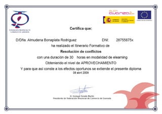 Avanza2 - Curso resolución de conflictos - 2009 certificado