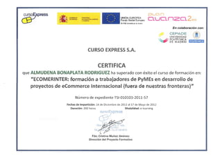 Cepade - Curso e-commerce internacional - 2012 certificado