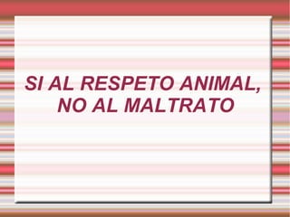 SI AL RESPETO ANIMAL,
NO AL MALTRATO
 
