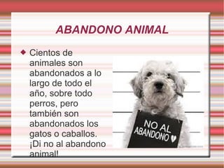 ABANDONO ANIMAL
 Cientos de
animales son
abandonados a lo
largo de todo el
año, sobre todo
perros, pero
también son
abandonados los
gatos o caballos.
¡Di no al abandono
animal!
 