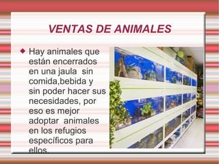 VENTAS DE ANIMALES
 Hay animales que
están encerrados
en una jaula sin
comida,bebida y
sin poder hacer sus
necesidades, por
eso es mejor
adoptar animales
en los refugios
específicos para
ellos.
 