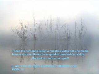 Todas las personas llegan a nuestras vidas por una razón, bien sea por un tiempo o se quedan para toda una vida.  ¡Recíbelos a todos por igual!  ¡¡¡ AH, Y NO OLVIDES ALMORZAR SIEMPRE CON DIOS...!!! 