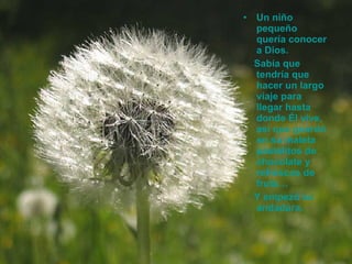 Un niño pequeño quería conocer a Dios.  Sabía que tendría que hacer un largo viaje para llegar hasta donde Él vive, así que guardó en su maleta pastelitos de chocolate y refrescos de fruta… Y empezó su andadura.   
