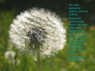 Un niño pequeño quería conocer a Dios.  Sabía que tendría que hacer un largo viaje para llegar hasta donde Él vive, así que guardó en su maleta pastelitos de chocolate y refrescos de fruta… Y empezó su andadura.   
