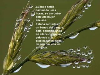 Cuando había caminado unas horas, se encontró con una mujer anciana.  Estaba sentada en un banco del parque, sola, contemplando en silencio algunas palomas que picoteaban migajas de pan que ella les arrojaba. 
