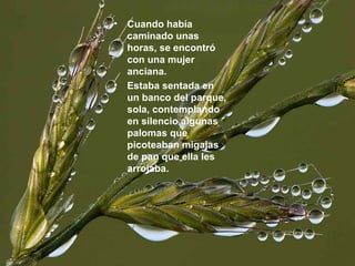 • Cuando había
caminado unas
horas, se encontró
con una mujer
anciana.
• Estaba sentada en
un banco del parque,
sola, contemplando
en silencio algunas
palomas que
picoteaban migajas
de pan que ella les
arrojaba.
 