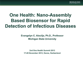 One Health: Nano-Assembly
Based Biosensor for Rapid
Detection of Infectious Diseases
Evangelyn C. Alocilja, Ph.D., Professor
Michigan State University

2nd One Health Summit 2013
17-20 November 2013, Davos, Switzerland

 
