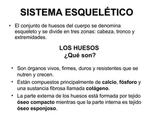 SISTEMA ESQUELÉTICO  El conjunto de huesos del cuerpo se denomina esqueleto y se divide en tres zonas: cabeza, tronco y extremidades. LOS HUESOS  ¿Qué son? Son órganos vivos, firmes, duros y resistentes que se nutren y crecen. Están compuestos principalmente de  calcio ,  fósforo  y una sustancia fibrosa llamada  colágeno . La parte externa de los huesos está formada por tejido  óseo compacto  mientras que la parte interna es tejido  óseo esponjoso . 