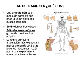 Una  articulación  es el medio de contacto que hace la unión entre dos huesos próximos.  ARTICULACIONES ¿QUÉ SON? Se dividen en tres clases: Articulaciones móviles  gozan de movimientos amplios La  rodilla  por ser la articulación más expuesta y menos protegida contra las lesiones mecánicas; razón por la cual experimenta numerosos traumatismos  