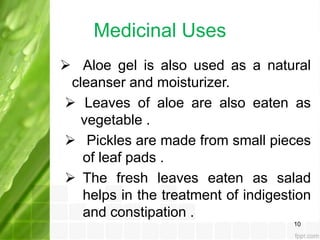 Aloe vera benefits, production and diseases | PPT