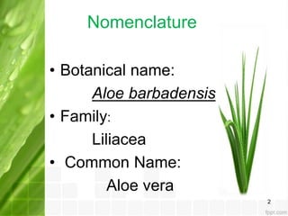 Aloe vera benefits, production and diseases | PPT