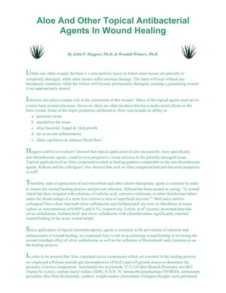Aloe And Other Topical Antibacterial 
Agents In Wound Healing 
By John P. Heggers, Ph.D. & Wendell Winters, Ph.D. 
Unlike any other wound, the burn is a non-uniform injury in which some tissues are partially or 
completely damaged, while other tissues suffer minimal damage. The latter will heal without any 
therapeutic treatment, while the former will become permanently damaged, creating a granulating wound 
if not appropriately treated. 
Infection also plays a major role in the conversion of this wound.1 Many of the topical agents used are to 
control burn wound infections. However, there are other products that have multivaried effects on the 
burn wound. Some of the major properties attributed to Aloe vera include its ability to: 
a. penetrate tissue 
b. anesthetize the tissue 
c. allay bacterial, fungal & viral growth 
d. act as an anti-inflammatory 
e. dilate capillaries & enhance blood flow2 
Heggers and his co-workers3 showed that topical application of anti-eicosanoids, more specifically 
anti-thromboxane agents, could reverse progressive tissue necrosis in the partially damaged tissue. 
Topical application of an Aloe compound resulted in healing patterns comparable to the anti-thromboxane 
agents. Robson and his colleagues2 also showed that such an Aloe compound had anti-bacterial properties 
as well. 
Therefore, topical application of anti-microbials and other chemo-therapeutic agents is essential in order 
to restore the normal healing process and prevent infection. Halsted has been quoted as saying, “A wound 
which has been irrigated with solutions of carbolic acid, corrosive sublimate, or other disinfectant labors 
under the disadvantage of a more less extensive area of superficial necrosis”3. McCauley and his 
colleagues4 have show that both silver sulfadiazine and Sulfamylon® are toxic to fibroblasts in tissue 
culture at concentrations of 0.005% and 0.1%, respectively. Leitch, et al5 recently presented data that 
silver sulfadiazine, Sulfamylon® and silver sulfadiazine with chlorohexadine significantly retarded 
wound healing in the acute wound model. 
Since application of topical chemotherapeutic agents is essential in the prevention of infection and 
enhancement of wound healing, we examined Aloe’s role in accelerating wound healing or reversing the 
wound retardant effect of silver sulfadiazine as well as the influence of Bactroban® and clindamycin on 
the healing process. 
In order to be assured that Aloe contained active components which are essential in the healing process 
we employed a Polyarcylamide gel electrophoresis (PAGE) and cell growth assays to determine the 
presence of active components. Acrylamide-bis acrylamide 37.5:1 (Fisher Biotech Houston), tris-HCI 
(Sigma St. Louis), sodium lauryl sulfate (SDS), N,N,N’,N’-tetramethylenediamine (TEMED), ammonium 
persulfate (Bio-Rad (Richmond), rainbow weight marker (Amersham Arlington Heights were purchased 
 