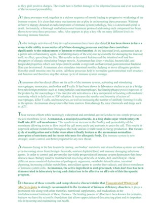 as they grab positive charges. The result here is further damage to the intestinal mucosa and ever worsening 
of the increased permeability. 
All these processes work together in a vicious sequence of events leading to progressive weakening of the 
immune system. It is clear that many mechanisms are at play in orchestrating these processes. Without 
definitive therapy directed at each component of immune system pathology, this is a downward spiral to 
death. Fortunately, a thorough multidimensional treatment protocol addressing each component has been 
shown to reverse these processes. Also, Aloe appears to play a key role on many different levels in 
boosting immune function. 
As the biologic activities of Aloe derived acemannan have been elucidated, it has been shown to have a 
remarkable ability to normalize all of these damaging processes and therefore contribute 
significantly to the enhancement of immune system function. At the intestinal level, acemannan acts as 
a potent anti-inflammatory agent, neutralizing many of the enzymes responsible for damaging the mucosal 
wall; in effect, quenching the fire. This results in decreased leakiness of the intestinal wall and less 
absorption of allergic stimulating foreign protein. Acemannan has direct virucidal, bactericidal, and 
fungicidal properties which can help control Candida overgrowth so that normal gastrointestinal bacterial 
flora can be restored. Acemannan also stimulates intestinal motility, helping to move allergenic proteins 
from the small intestine into the colon. All these processes help to normalize gastrointestinal wall structure 
and function and therefore stop the vicious cycle of immune system damage. 
Acemannan also has direct effects on the cells of the immune system, activating and stimulating 
macrophages, monocytes, antibodies and T-cells. It has been shown in laboratory studies to act as a bridge 
between foreign proteins (such as virus particles) and macrophages, facilitating phagocytosis (ingestion of 
the protein by the macrophage). This receptor site activation is a key component in boosting cell-mediated 
immunity which is deficient in HIV infection. It increases the number and intensity of action of 
macrophages, killer T-cells, and monocytes, as well as increasing the number of antibody forming B-cells 
in the spleen. Acemannan also protects the bone marrow from damage by toxic chemicals and drugs such 
as AZT. 
These various effects while seemingly widespread and unrelated, are in fact due to one simple process at 
the cell membrane level. Acemannan, a mucopolysaccharide, is a long chain sugar which interjects 
itself into ALL cell membranes. This results in an increase in the fluidity and permeability of the 
membrane allowing toxins to flow out of the cell more easily and nutrients to enter the cell. This results in 
improved cellular metabolism throughout the body and an overall boost in energy production. The vicious 
cycle of maldigestion and cellular starvation is finally broken as the acemannan normalizes 
absorption of nutrients and increases tolerance for allergenic foods. The immune system is now 
stronger, under control, and better prepared for any new threat. 
As humans living in the late twentieth century, our bodies’ metabolic and detoxification systems are under 
ever-increasing stress from foreign chemicals, nutrient depleted food, and immune damaging infectious 
agents. In order to control and prevent the inevitable progression of immune system destruction that these 
stresses cause, therapy must be multifactorial involving all levels of health, diet, and lifestyle. These 
different areas consist of destruction of pathogenic organisms, metabolic detoxification, intestinal 
cleansing, increasing cellular metabolism, antioxidant agents to combat free radicals, and direct stimulation 
of immune system cells. Acemannan, the active ingredient in cold-processed, whole-leaf Aloe has been 
demonstrated in laboratory testing and clinical use to be effective on all levels of this therapeutic 
program. 
It is because of these versatile and comprehensive characteristics that Concentrated Whole Leaf 
Aloe Vera juice is strongly recommended in the treatment of immune deficiency disorders. It plays a 
prominent role along with other therapies, nutritional supplements, and medications in the 
multidimensional treatment of these illnesses. The healing powers of Aloe have been known for centuries, 
but now we have the scientific foundation that allows appreciation of this amazing plant and its important 
role in restoring and maintaining our health. 
 