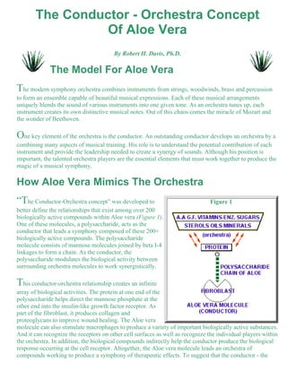 The Conductor - Orchestra Concept 
Of Aloe Vera 
By Robert H. Davis, Ph.D. 
The Model For Aloe Vera 
The modern symphony orchestra combines instruments from strings, woodwinds, brass and percussion 
to form an ensemble capable of beautiful musical expressions. Each of these musical arrangements 
uniquely blends the sound of various instruments into one given tone. As an orchestra tunes up, each 
instrument creates its own distinctive musical notes. Out of this chaos comes the miracle of Mozart and 
the wonder of Beethoven. 
One key element of the orchestra is the conductor. An outstanding conductor develops an orchestra by a 
combining many aspects of musical training. His role is to understand the potential contribution of each 
instrument and provide the leadership needed to create a synergy of sounds. Although his position is 
important, the talented orchestra players are the essential elements that must work together to produce the 
magic of a musical symphony. 
How Aloe Vera Mimics The Orchestra 
“The Conductor-Orchestra concept” was developed to Figure 1 
better define the relationships that exist among over 200 
biologically active compounds within Aloe vera (Figure 1). 
One of these molecules, a polysaccharide, acts as the 
conductor that leads a symphony composed of these 200+ 
biologically active compounds. The polysaccharide 
molecule consists of mannose molecules joined by beta I-4 
linkages to form a chain. As the conductor, the 
polysaccharide modulates the biological activity between 
surrounding orchestra molecules to work synergistically. 
This conductor-orchestra relationship creates an infinite 
array of biological activities. The protein at one end of the 
polysaccharide helps direct the mannose phosphate at the 
other end into the insulin-like growth factor receptor. As 
part of the fibroblast, it produces collagen and 
proteoglycans to improve wound healing. The Aloe vera 
molecule can also stimulate macrophages to produce a variety of important biologically active substances. 
And it can recognize the receptors on other cell surfaces as well as recognize the individual players within 
the orchestra. In addition, the biological compounds indirectly help the conductor produce the biological 
response occurring at the cell receptor. Altogether, the Aloe vera molecule leads an orchestra of 
compounds working to produce a symphony of therapeutic effects. To suggest that the conductor - the 
 