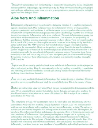 This activity demonstrates how wound healing is enhanced when connective tissue, subjected to 
mechanical forces and damages, repair themselves by the Aloe-fibroblast stimulating influence to 
make collagen and proteoglycans. Aloe vera acts as a mechanism to promote the active biological 
agents that heal damaged tissue. 
Aloe Vera And Inflammation 
Inflammation is the response of living tissue to a damaging stimulus. It is a defense mechanism 
against a traumatic insult. On a molecular basis, the inflammatory process involves complex 
regulators, potentiators and mediators. A uniform response occurs regardless of the nature of the 
irritant event, though the inflammatory process may act as a double edge sword by also creating a 
threat to an organism. Inflammation by be acute or chronic. The acute inflammation response to a 
tissue insult involves the release of vasoactive substances. This increases the permeability of 
capillaries so that fluid goes into interstitial tissue and produces edema. Then, polymorphonuclear 
leukocytes (PMN’s) move out of the capillaries and are attracted to the injury site by a mediator 
called leukotrienes. The PMN’s increase their metabolism and oxygen consumption as they 
phagocytize the trauma debris. However, the products resulting from this increased metabolism 
contain oxygen radicals that attack the membrane lipids and produce further inflammation. If the 
irritant remains under the skin, chronic inflammatory response occurs. Connective tissue forms 
around the irritant and, over a long period of time, attempts to push the trauma outside the body. 
Lysozymes, products of these inflammatory cells, function in a manner to modulate neutrophil 
(PMN) activity. 
Topical steroids are usually applied to block acute and chronic inflammation but their properties 
also retard wound healing. They decrease edema by reducing capillary permeability, vasodilation 
and stabilizing lysosomal membranes. Steroids can actually increase the spread of infection by 
inhibiting connective tissue formation. 
Aloe vera is also used to inhibit acute inflammation. But, unlike steroids, it stimulates fibroblast 
growth to improve wound healing and block the spread of infection. This is the miracle of Aloe. 
Studies have shown that since only about 1% of steroids can penetrate the stratum corneum of the 
skin, 99% is unavailable and wasted. Our data has shown that Aloe vera can act as a vehicle for 
steroids - to improve absorption and act as an efficient carrier. This is a significant economic 
consideration for Aloe vera. 
The complexity of Aloe vera’s components makes the study of its anti-inflammatory activity a 
difficult task. Aloe vera does not have a single mechanism of action. Aloe vera contains amino 
acids such as phenylalanine and tryptophane that have anti-inflammatory activity. The salicyclic 
acid in Aloe prevents the biosynthesis of prostaglandins from arachidonic acid. This explains, in 
part, how Aloe reduces vasodilation and decreases the vascular effects of histamine, serotonin and 
other mediators of inflammation. Since prostaglandins play an integral role in regulating both 
inflammation and immune reactions, Aloe vera can affect both of these systems by blocking 
prostaglandin synthesis. The analgesic effect of Aloe vera is synergistic with aspirin. Since Aloe 
vera has both stimulatory and inhibitory components. Aloe can modulate both immune and 
inflammatory reactions. It can act as a stimulator of wound healing and antibody production. Aloe 
 