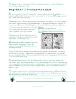 At the present time, the leading cause for blindness is diabetic retinopathy. In view of this fact, the 
effects of Aloe are highly promising. 
Suppression Of Precancerous Lesion 
The greatest theme of 21st century medicine is to overcome cancers. Allegorically speaking, it is a 
military expedition, led by Alexander the Great, that continues toward the goal of defeating cancers, with 
Aloe a potent soldier in the expedition. 
Canceration is known to involve two steps. First, an initiator acts in the genes of cells, causing mutation 
(precancerous lesion). Subsequently a promoter enhances the proliferation of these cells, leading to the 
onset of tumors. Tests showed that Aloe suppressed the formation of precancerous lesions by initiators. 
If an agent called DEN is administered to rats, their 
Figure 6 
Suppression of precancerous lesions 
liver develops precancerous lesions, the size of 
The size of precancerous lesions was reduced in the 
which was reduced by oral Aloe treatment. 
Aloe-treated group (left), when compared to the untreated 
group (right). 
Figure 6 compares the size of precancerous liver 
lesions (black areas) between Aloe-treated rats and 
untreated rats. The difference is clear. 
When the effect of Aloe in preventing canceration 
was examined by administering it before DEN 
treatment, Aloe appeared to have some potential for 
preventing canceration. 
In daily life, initiators and promoters of cancer are contained in tobacco, food additives, air pollutants, 
scorched fish, etc. However, it is impossible to completely avoid such foods or factors. It is, therefore, 
reasonable to utilize the effect of Aloe, etc., in parallel to the efforts of avoiding ingestion of such factors, 
for the goal of preventing cancers. 
Although it is ideal to ingest raw Aloe, its bitter taste makes it difficult to take daily doses in such a 
form. For this reason, Aloe is often ingested in the form of heat-dried powder. However, if Aloe is heated, 
its active ingredients (anti-inflammatory carboxylpeptidase, and anti-ulcer glycoprotein and enzymes such 
as protease inhibitors) can be impaired, and be accompanied by an increase in aloin due to exposure to 
heat and oxygen. 
Aloin is a potent laxative, but its excessive increase can aggravate gastric ulcers and diabetes. To avoid 
such problems, it is desirable to freeze-dry Aloe into a powder form. Freeze-dried Aloe powder was used 
in examining the anti-cancer effects of Aloe in rats. 
 