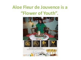 Aloe Fleur de Jouvence is a 
“Flower of Youth”. 
 