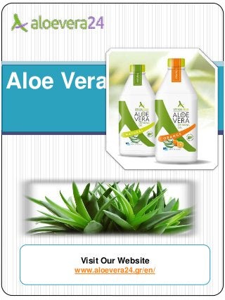 Aloe Vera
Visit Our Website
www.aloevera24.gr/en/
 