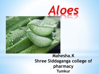 1
Aloes
Mahesha.K
Shree Siddaganga college of
pharmacy
Tumkur
 