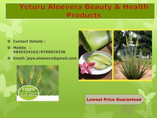  Contact Details :
 Mobile :
9840324162/9790819338
 Email: jaya.aloevera@gmail.com
Lowest Price Guaranteed
 