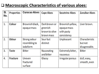Aloes(in details) | PDF