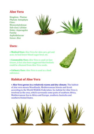 28327358140700498030581407008128008140700Habitat of Aloe Vera• Aloe Vera grows in a relatively warm and dry climate. The habitat of aloe vera means Woodlands, Mediterranean forests and Scrub according to the World Wildlife Federation. So, habitat for Aloe Vera is involved as the area, which surrounds some parts of southern Africa, Mediterranean Sea in Africa and Europe, southern Australia and southern United States. 261620098425045466003543300Uses:• Medical Uses: Aloe Vera for skin care, gel and acne, to heal lower blood sugar level, etc.• Commodity Uses: Aloe Vera is used on face tissues, it has also been suggested that biofuels could be obtained from Aloe Vera seeds.• Culinary Uses: Aloe Vera is used as a food substance. Aloe VeraKingdom:  PlantaePhylum: AntophytaClass: MonocotyledonaeSub-class: LiliidaeOrder: AsparagalesFamily: AsphodelaceaeGenus: AloeSpecies: Aloe Vera44831001206500<br />