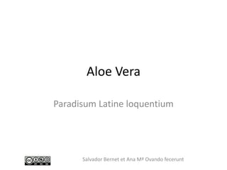 Aloe Vera

Paradisum Latine loquentium




      Salvador Bernet et Ana Mª Ovando fecerunt
 