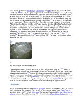 pests, though spider mites, mealy bugs, scale insects, and aphid species may cause a decline in
plant health.[29][30] In pots, the species requires well-drained sandy potting soil and bright sunny
conditions; however, in very hot and humid tropical or subtropical climates, aloe plants should
be protected from direct sun and rain, as they will burn and/or turn mushy easily under these
conditions. The use of a good-quality commercial propagation mix or pre-packaged "cacti and
succulent mix" is recommended, as they allow good drainage.[31] Terracotta pots are preferable
as they are porous.[31] Potted plants should be allowed to completely dry prior to re-watering.
When potted aloes become crowded with "pups" growing from the sides of the "mother plant,"
they should be divided and re-potted to allow room for further growth and help prevent pest
infestations. During winter, Aloe vera may become dormant, during which little moisture is
required. In areas that receive frost or snow, the species is best kept indoors or in heated
glasshouses.[10] Large scale agricultural production of Aloe vera is undertaken in Pakistan,
Australia,[32] Bangladesh, Cuba,[33] the Dominican Republic, China, Mexico,[34] India,[35]
Jamaica,[36] Kenya and South Africa,[37] along with the USA[38] to supply the cosmetics industry
with Aloe vera gel.

Uses




Aloe vera gel being used to make a dessert.

Preparations made from the plant Aloe vera are often referred to as "aloe vera".[39] Scientific
evidence for the cosmetic and therapeutic effectiveness of aloe vera is limited and when present
is frequently contradictory.[5][6] Despite this, the cosmetic and alternative medicine industries
regularly make claims regarding the soothing, moisturizing, and healing properties of aloe vera,
especially via Internet advertising.[7][3][4][2][40] Aloe vera gel is used as an ingredient in
commercially available lotions, yogurt, beverages, and some desserts,[41][42][43] although at certain
doses, it has toxic properties when used either for ingested or topical applications.[44]

Folk medicine

Aloe vera has a long association with herbal medicine, although it is not known when its medical
applications were first suspected. Early records of Aloe vera use appear in the Ebers Papyrus
from 16th century BC,[17] in both Dioscorides' De Materia Medica and Pliny the Elder's Natural
History written in the mid-first century CE[17] along with the Juliana Anicia Codex produced in
 
