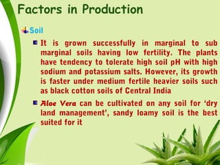 Factors in Production
Soil
It is grown successfully in marginal to sub
marginal soils having low fertility. The plants
have tendency to tolerate high soil pH with high
sodium and potassium salts. However, its growth
is faster under medium fertile heavier soils such
as black cotton soils of Central India
Aloe Vera can be cultivated on any soil for ‘dry
land management’, sandy loamy soil is the best
suited for it
 