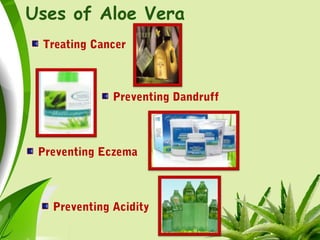 Uses of Aloe Vera
Treating Cancer
Preventing Dandruff
Preventing Eczema
Preventing Acidity
 