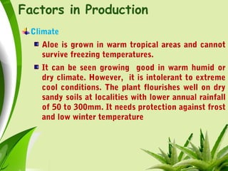 Factors in Production
Climate
Aloe is grown in warm tropical areas and cannot
survive freezing temperatures.
It can be seen growing good in warm humid or
dry climate. However, it is intolerant to extreme
cool conditions. The plant flourishes well on dry
sandy soils at localities with lower annual rainfall
of 50 to 300mm. It needs protection against frost
and low winter temperature
 