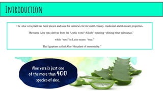 aloe vera pure gel Aloe Vera Gel  HalalEveryday