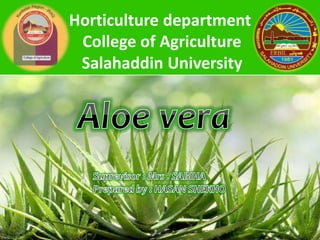 Horticulture department
College of Agriculture
Salahaddin University
 