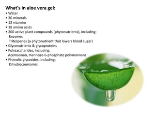 What's in aloe vera gel:
• Water
• 20 minerals
• 12 vitamins
• 18 amino acids
• 200 active plant compounds (phytonutrients), including:
Enzymes
Triterpenes (a phytonutrient that lowers blood sugar)
• Glyconutrients & glycoproteins
• Polysaccharides, including:
Acemannan, mannose-6-phosphate polymannans
• Phenolic glycosides, including:
Dihydrocoumarins
 