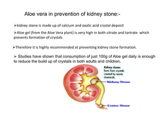 Therefore it is highly recommended at preventing kidney stone formation.
kidney stone is made up of calcium and oxalic acid crystal deposit
Aloe gel (from the Aloe Vera plant) is very high in both citrate and tartrate which
prevents formation of crystals
 Studies have shown that consumption of just 100g of Aloe gel daily is enough
to reduce the build up of crystals in both adults and children.
Aloe vera in prevention of kidney stone:-
 