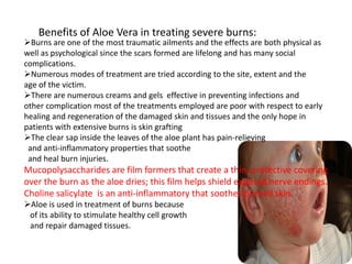 Benefits of Aloe Vera in treating severe burns:
Burns are one of the most traumatic ailments and the effects are both physical as
well as psychological since the scars formed are lifelong and has many social
complications.
Numerous modes of treatment are tried according to the site, extent and the
age of the victim.
There are numerous creams and gels effective in preventing infections and
other complication most of the treatments employed are poor with respect to early
healing and regeneration of the damaged skin and tissues and the only hope in
patients with extensive burns is skin grafting
The clear sap inside the leaves of the aloe plant has pain-relieving
and anti-inflammatory properties that soothe
and heal burn injuries.
Mucopolysaccharides are film formers that create a thin, protective covering
over the burn as the aloe dries; this film helps shield exposed nerve endings.
Choline salicylate is an anti-inflammatory that soothes burned skin.
Aloe is used in treatment of burns because
of its ability to stimulate healthy cell growth
and repair damaged tissues.
 