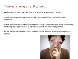Aloe vera gel as an anti tumor:
Aloe vera boosts immune function and destroys cancer tumors
aloe vera polysaccharides have strong immunomodulatory and antitumour
properties
aloe vera polysaccharides exhibited potent macrophage-activating activities including
producing increased volumes of nitric oxide (which has antitumor potential).
That means the gel helps boosts immune system function while destroying cancer
tumors
 