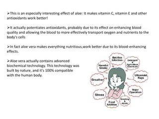This is an especially interesting effect of aloe: It makes vitamin C, vitamin E and other
antioxidants work better!
It actually potentiates antioxidants, probably due to its effect on enhancing blood
quality and allowing the blood to more effectively transport oxygen and nutrients to the
body's cells
In fact aloe vera makes everything nutritious,work better due to its blood-enhancing
effects.
Aloe vera actually contains advanced
biochemical technology. This technology was
built by nature, and it's 100% compatible
with the human body.
 