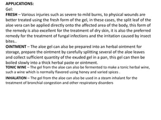 APPLICATIONS:
Gel:
FRESH – Various injuries such as severe to mild burns, to physical wounds are
better treated using the fresh form of the gel, in these cases, the split leaf of the
aloe vera can be applied directly onto the affected area of the body, this form of
the remedy is also excellent for the treatment of dry skin, it is also the preferred
remedy for the treatment of fungal infections and the irritation caused by insect
bites..
OINTMENT – The aloe gel can also be prepared into an herbal ointment for
storage, prepare the ointment by carefully splitting several of the aloe leaves
and collect sufficient quantity of the exuded gel in a pan, this gel can then be
boiled slowly into a thick herbal paste or ointment.
TONIC WINE – The gel from the aloe can also be fermented to make a tonic herbal wine,
such a wine which is normally flavored using honey and varied spices .
INHALATION – The gel from the aloe can also be used in a steam inhalant for the
treatment of bronchial congestion and other respiratory disorders
 