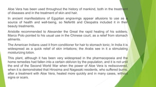 Aloe Vera has been used throughout the history of mankind, both in the treatment
of diseases and in the treatment of skin and hair.
In ancient manifestations of Egyptian engravings appear allusions to use as a
source of health and well-being, so Nefertiti and Cleopatra included it in their
beauty treatments.
Aristotle recommended to Alexander the Great the rapid healing of his soldiers;
Marco Polo pointed to his usual use in the Chinese court, as a relief from stomach
ailments.
The American Indians used it from conditioner for hair to stomach tonic; In India it is
widespread as a quick relief of skin irritations; the Arabs see in it a stimulating
moisturizing lotion.
This plant, although it has been very widespread in the pharmacopoeia and the
home remedies had fallen into a certain oblivion by the population, and it is not until
the end of the Second World War when the power of Aloe Vera is rediscovered,
when it is demonstrated that Hirosima and Nagasaki residents, who suffered burns,
after a treatment with Aloe Vera, healed more quickly and in many cases, without
signs or scars.
 